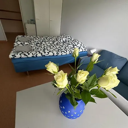 Lepopaikka Lokinpesae, Ja Ahlainen