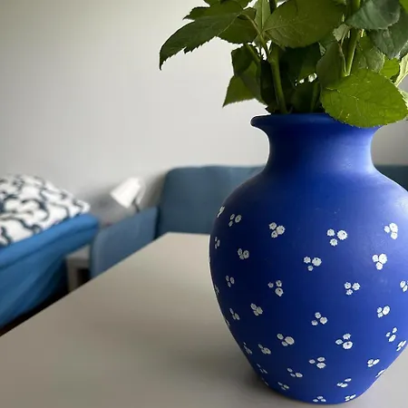 Vandrarhem Lepopaikka Lokinpesae, Ja Ahlainen