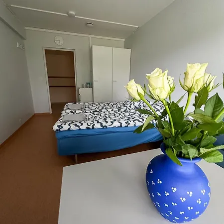 Vandrarhem Lepopaikka Lokinpesae, Ja