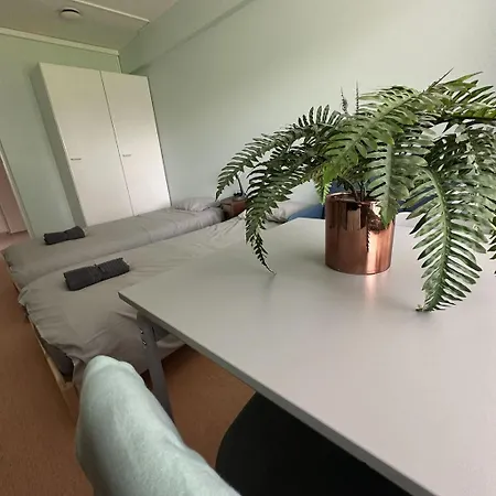 Lepopaikka Lokinpesae, Ja * Ahlainen