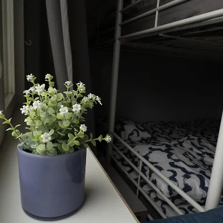 Lepopaikka Lokinpesae, Ja Hostel Ahlainen