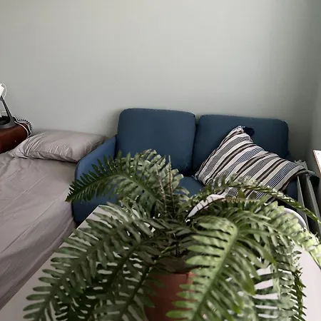 Vandrarhem Lepopaikka Lokinpesae, Ja Ahlainen