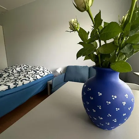 Хостел Lepopaikka Lokinpesae, Ja