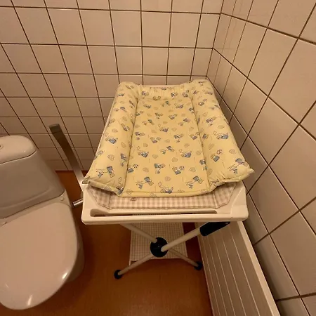 Vandrarhem Lepopaikka Lokinpesae, Ja *