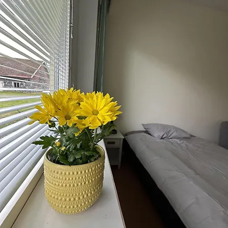 Lepopaikka Lokinpesae, Ja