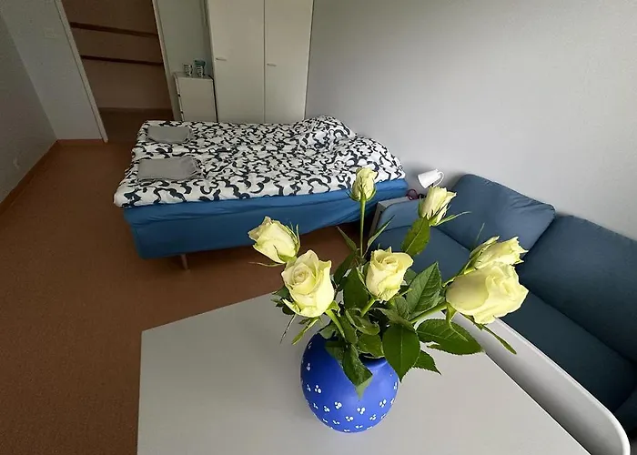 Lepopaikka Lokinpesae, Ja Ahlainen