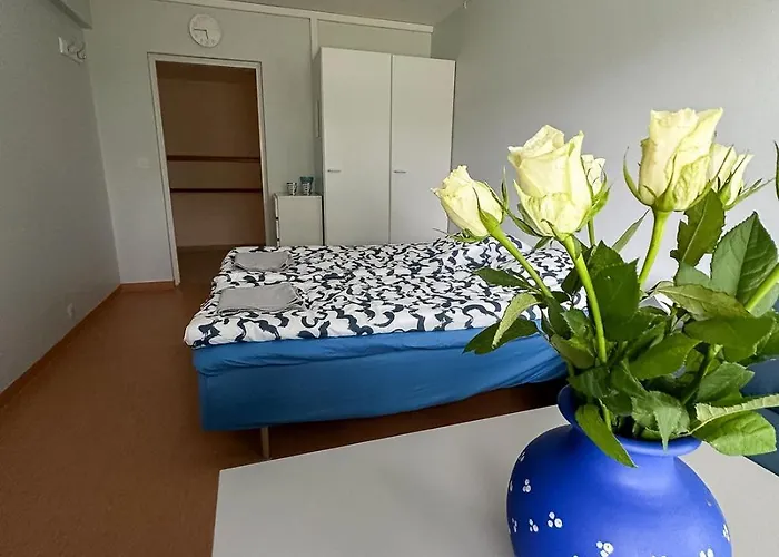 Ostello Lepopaikka Lokinpesae, Ja