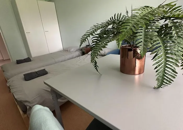 Lepopaikka Lokinpesae, Ja * Ahlainen