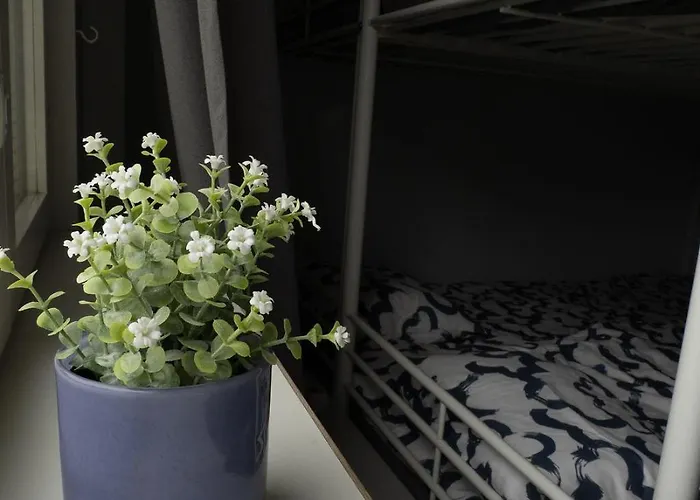 Lepopaikka Lokinpesae, Ja Ostello Ahlainen