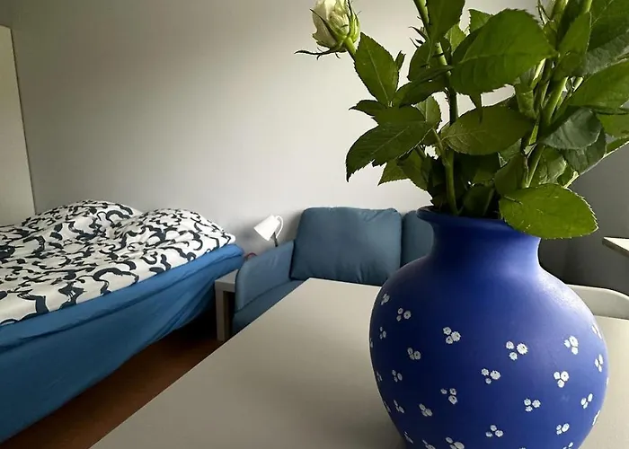 Ostello Lepopaikka Lokinpesae, Ja